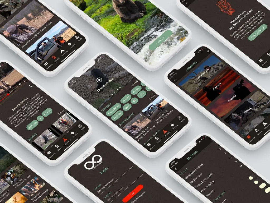 Forever Wild: From Brand to Platform project interface